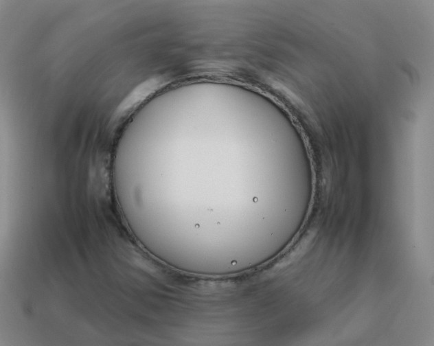 X0000113871354200910081718