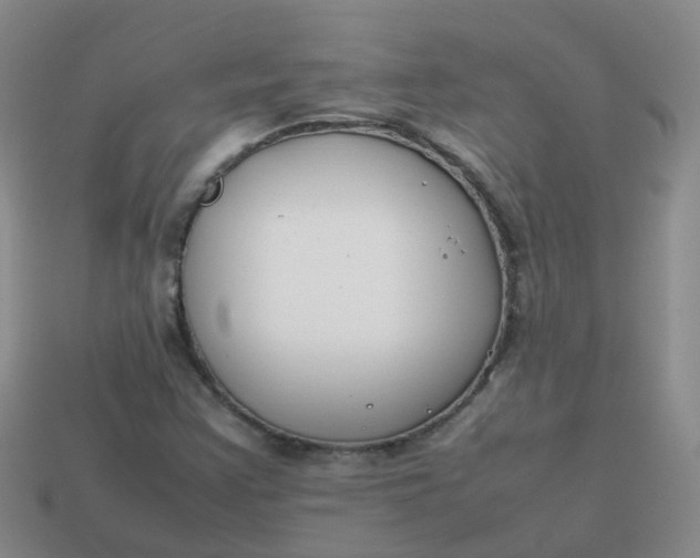 X0000113871355200910081718