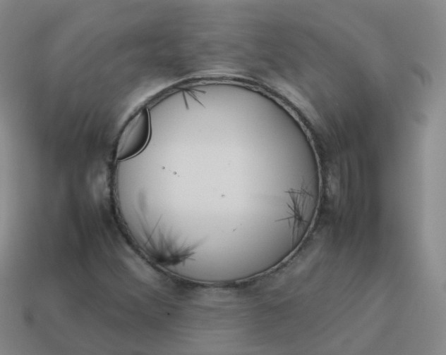 X0000113871356200910081718