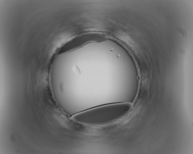 X0000113871357200910081718