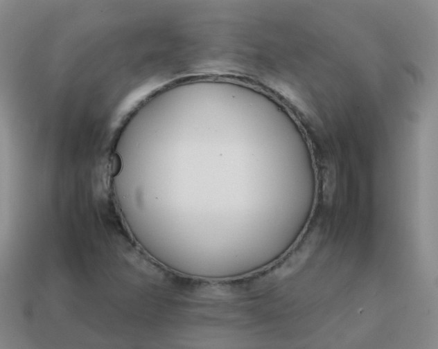 X0000113871358200910081718