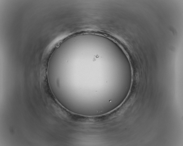 X0000113871359200910081718