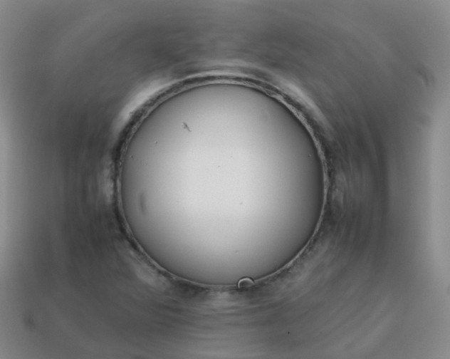 X0000113871360200910081718