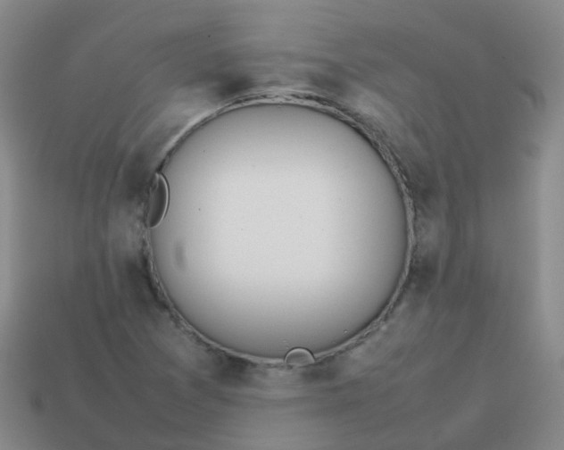 X0000113871361200910081718