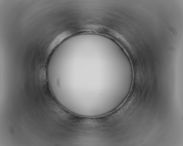 X0000113871362200910081718