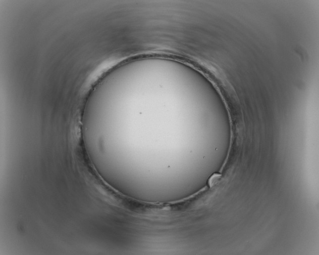 X0000113871363200910081718