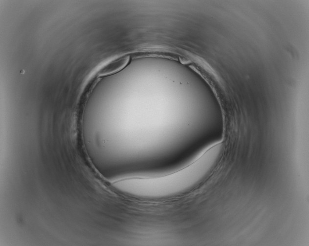 X0000113871364200910081718