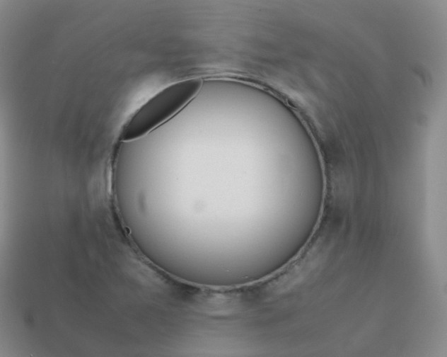 X0000113871365200910081718