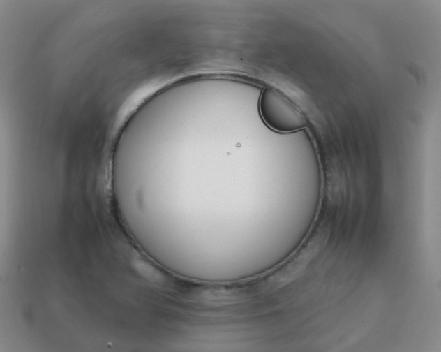 X0000113871366200910081718