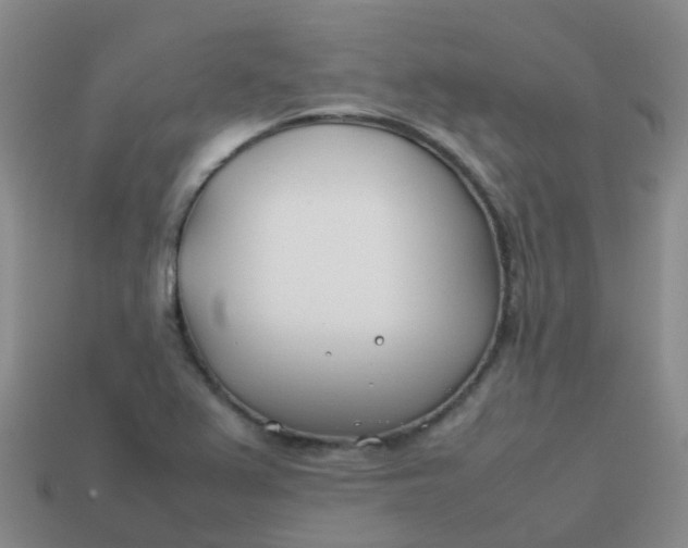 X0000113871367200910081718