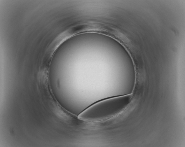 X0000113871369200910081718