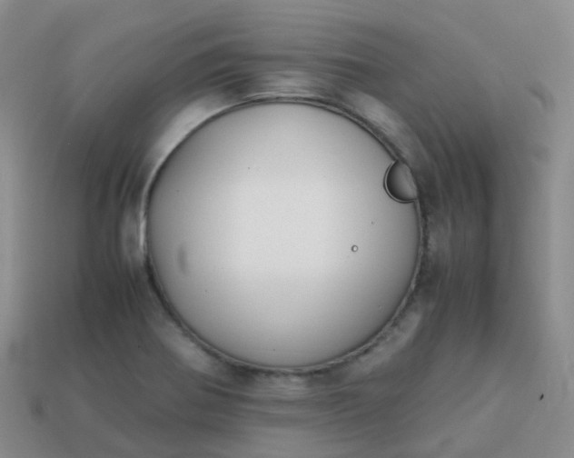 X0000113871370200910081718