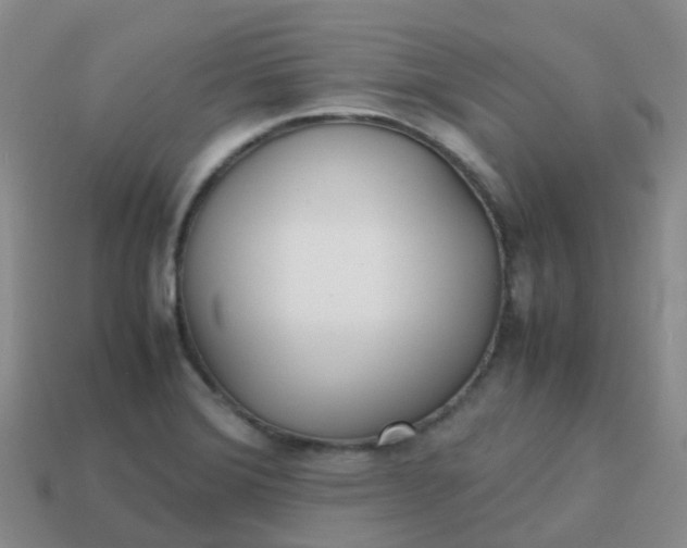 X0000113871372200910081718