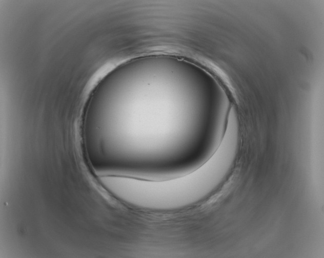 X0000113871373200910081718