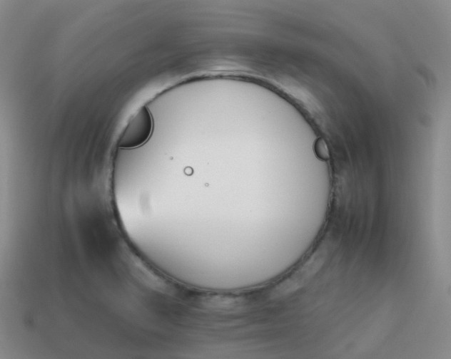 X0000113871374200910081718