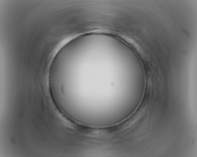 X0000113871375200910081718