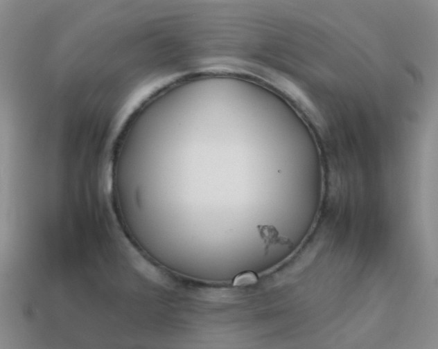 X0000113871376200910081718