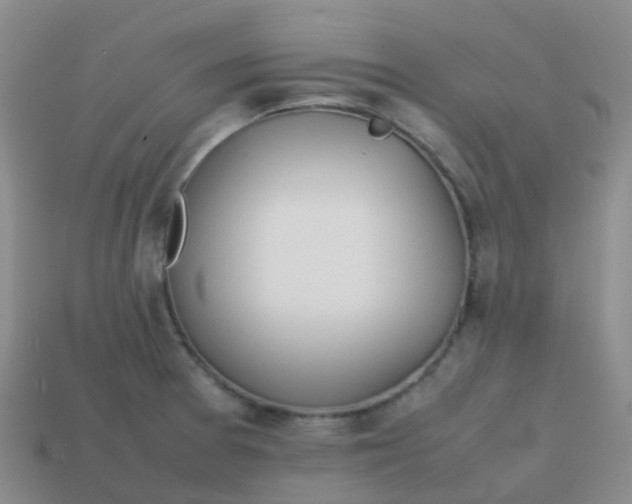 X0000113871377200910081718