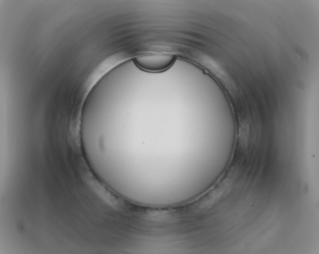 X0000113871378200910081718