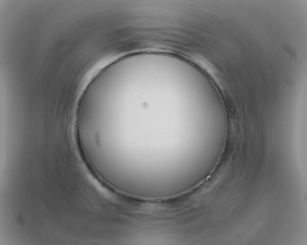 X0000113871379200910081718