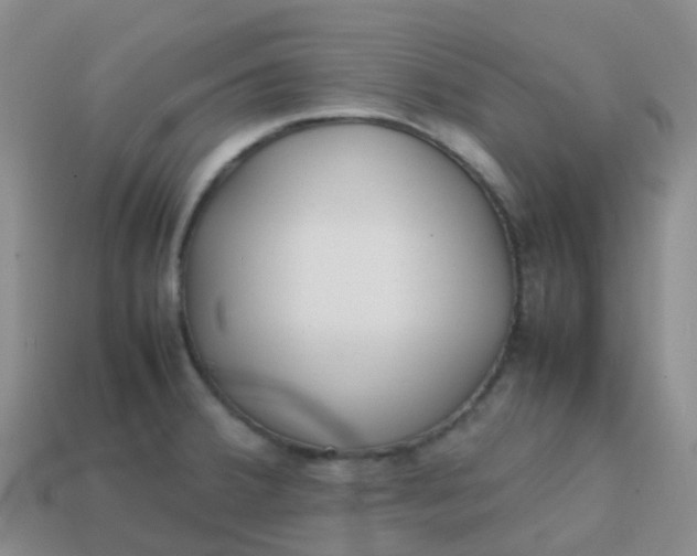 X0000113871380200910081718