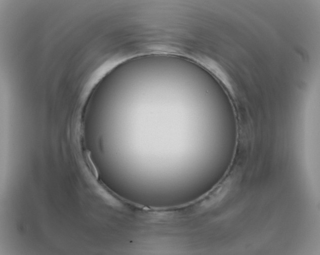 X0000113871381200910081718