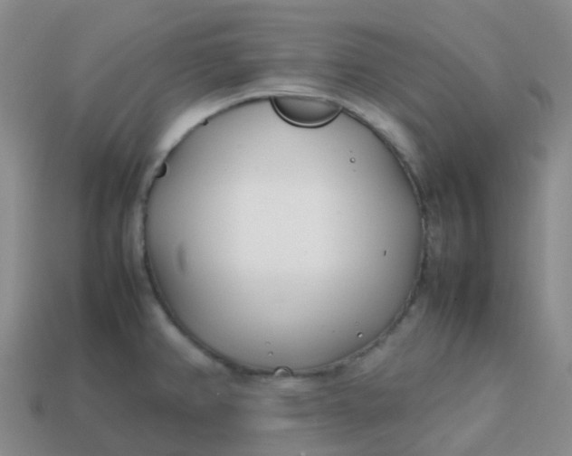 X0000113871382200910081718