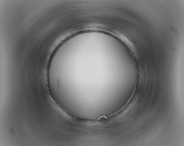 X0000113871384200910081718