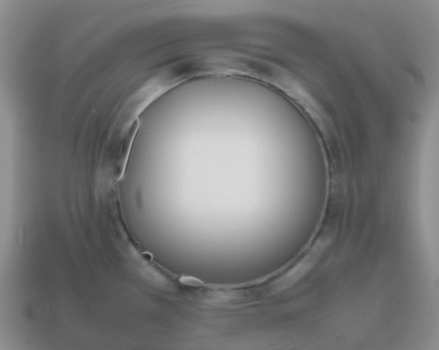 X0000113871385200910081718