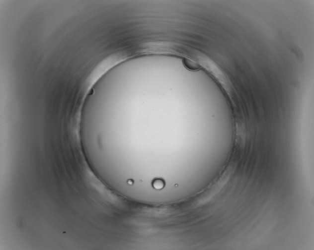 X0000113871386200910081718