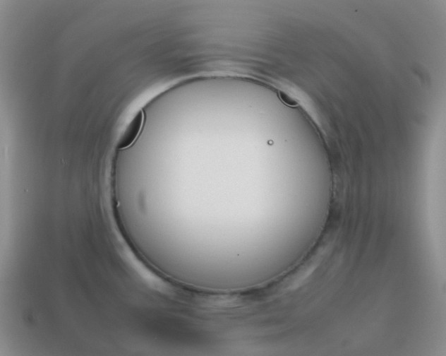 X0000113871387200910081718