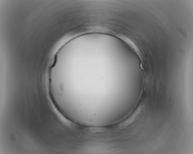 X0000113871391200910081718