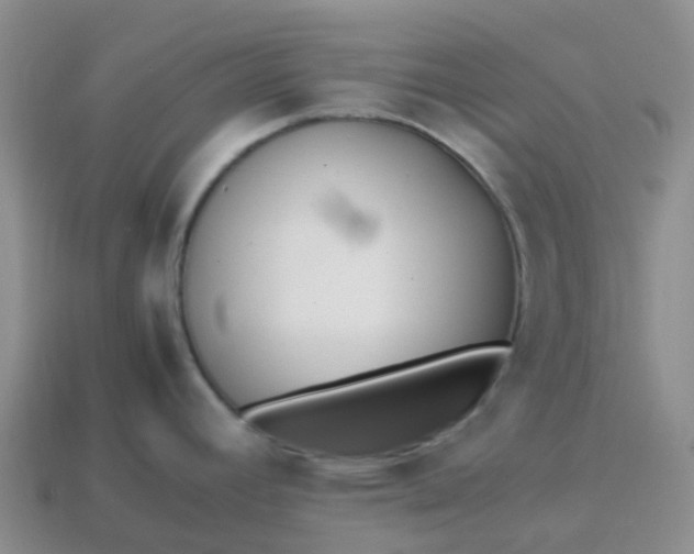 X0000113871392200910081718