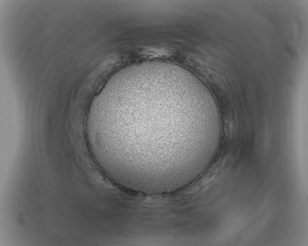 X0000113871393200910081717