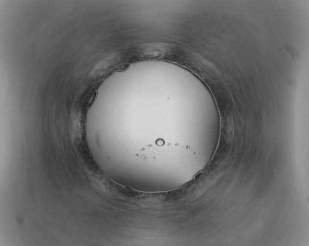 X0000113871394200910081717