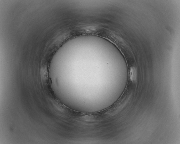 X0000113871395200910081717