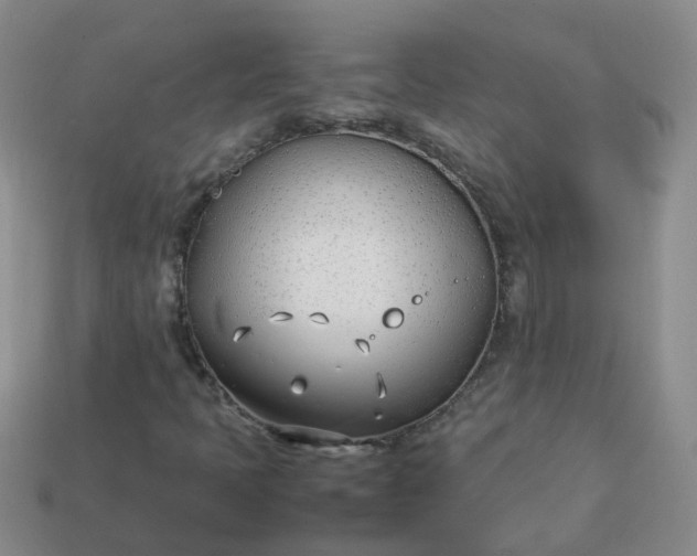 X0000113871397200910081717