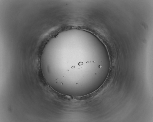 X0000113871398200910081717