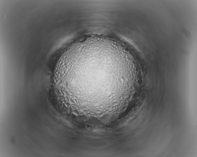 X0000113871399200910081717