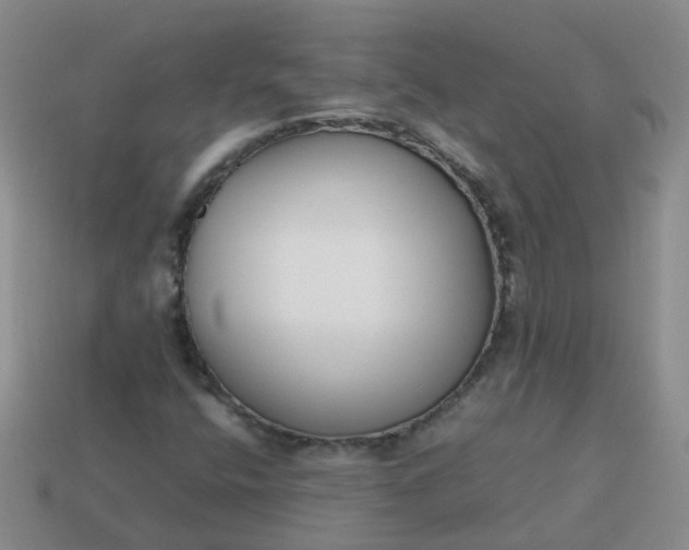 X0000113871400200910081717