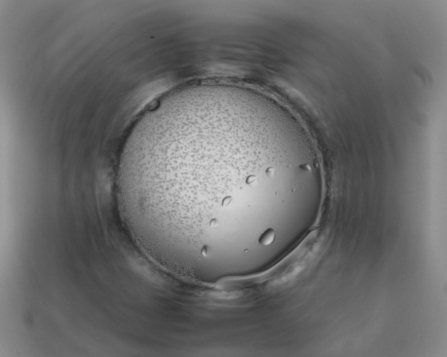 X0000113871401200910081717