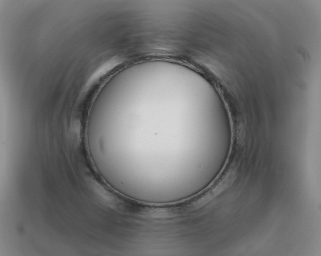 X0000113871402200910081717