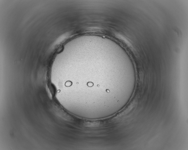 X0000113871403200910081717