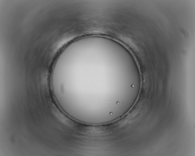 X0000113871404200910081717