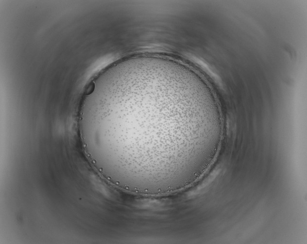 X0000113871405200910081717