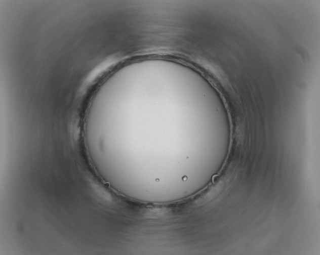 X0000113871406200910081717