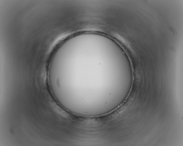 X0000113871408200910081717