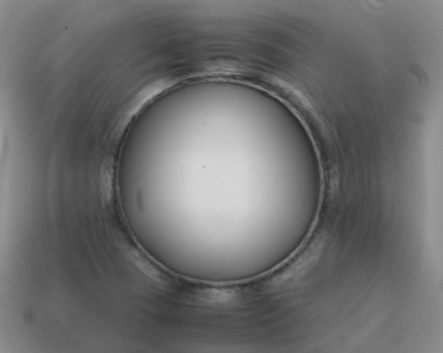 X0000113871409200910081717