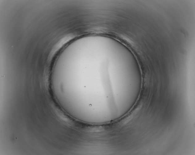 X0000113871410200910081717