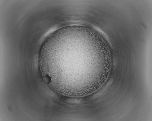 X0000113871411200910081717